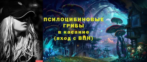 spice Медвежьегорск