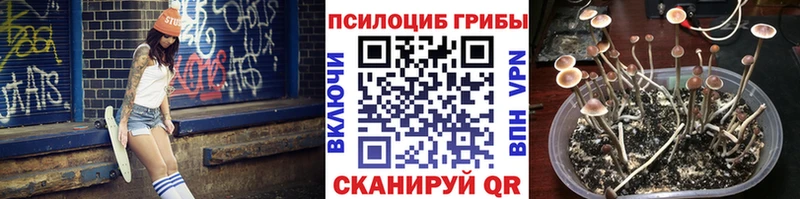 Псилоцибиновые грибы Psilocybine cubensis  Отрадное 