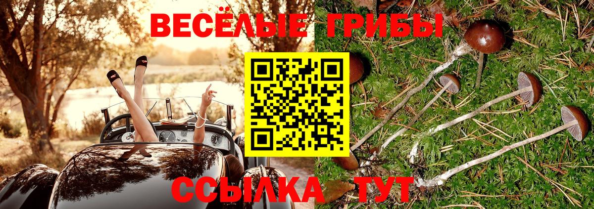 Галлюциногенные грибы Magic Shrooms  Вход с VPN  Отрадное 
